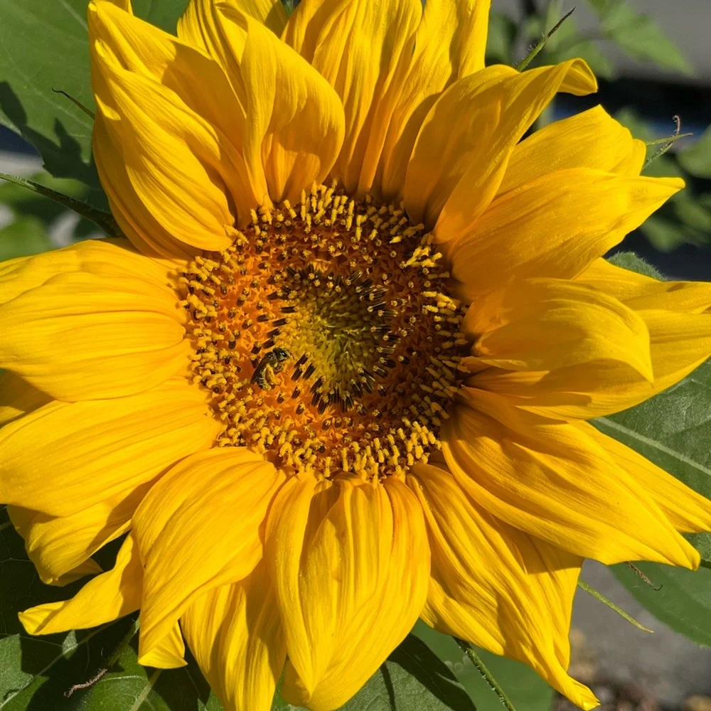 PLEASE LIKE NEW GAME! - Picture 10 of 12